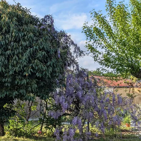 別荘 Les Pins Du Teich ル・テック