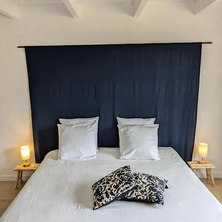 Les Pins Du Teich 別荘 *