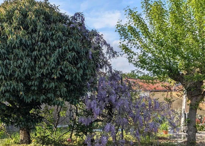 別荘 Les Pins Du Teich ル・テック