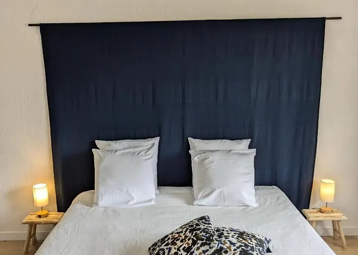 Les Pins Du Teich 別荘 *